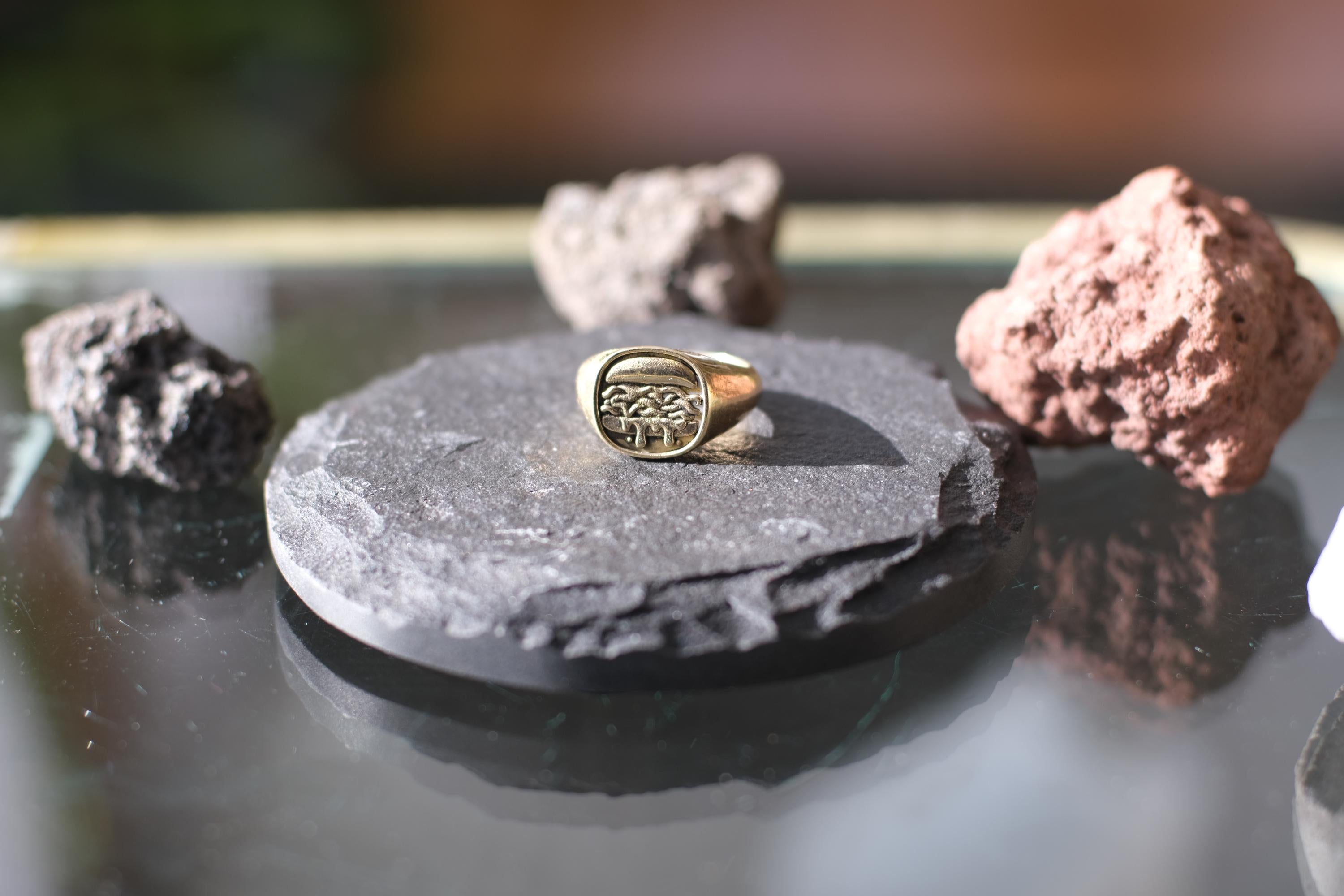 North Shore Roast Beef Signet Ring | Hand-Cast Solid Brass | 12g