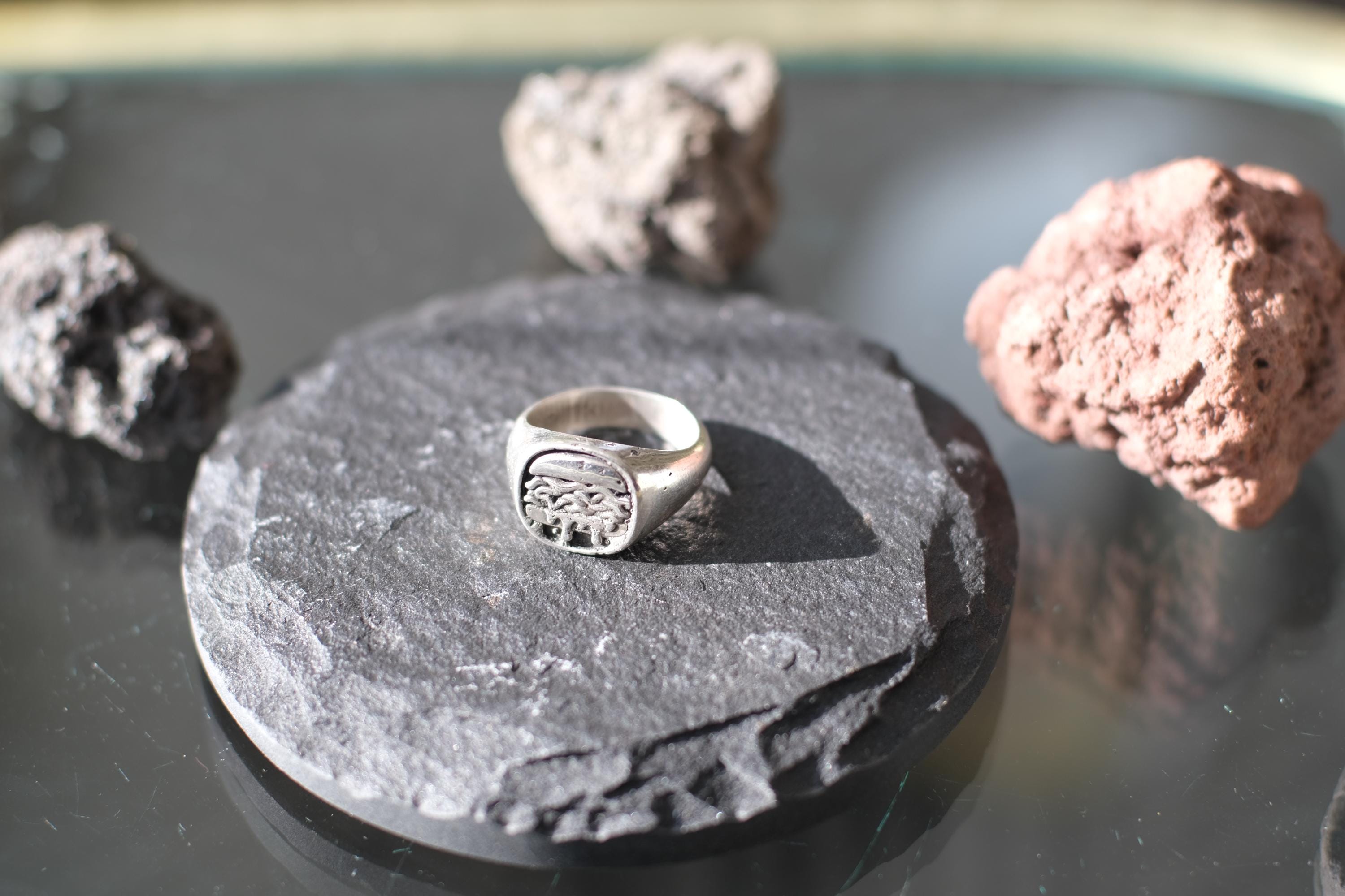 North Shore Roast Beef Signet Ring | Solid Sterling Silver | 15g