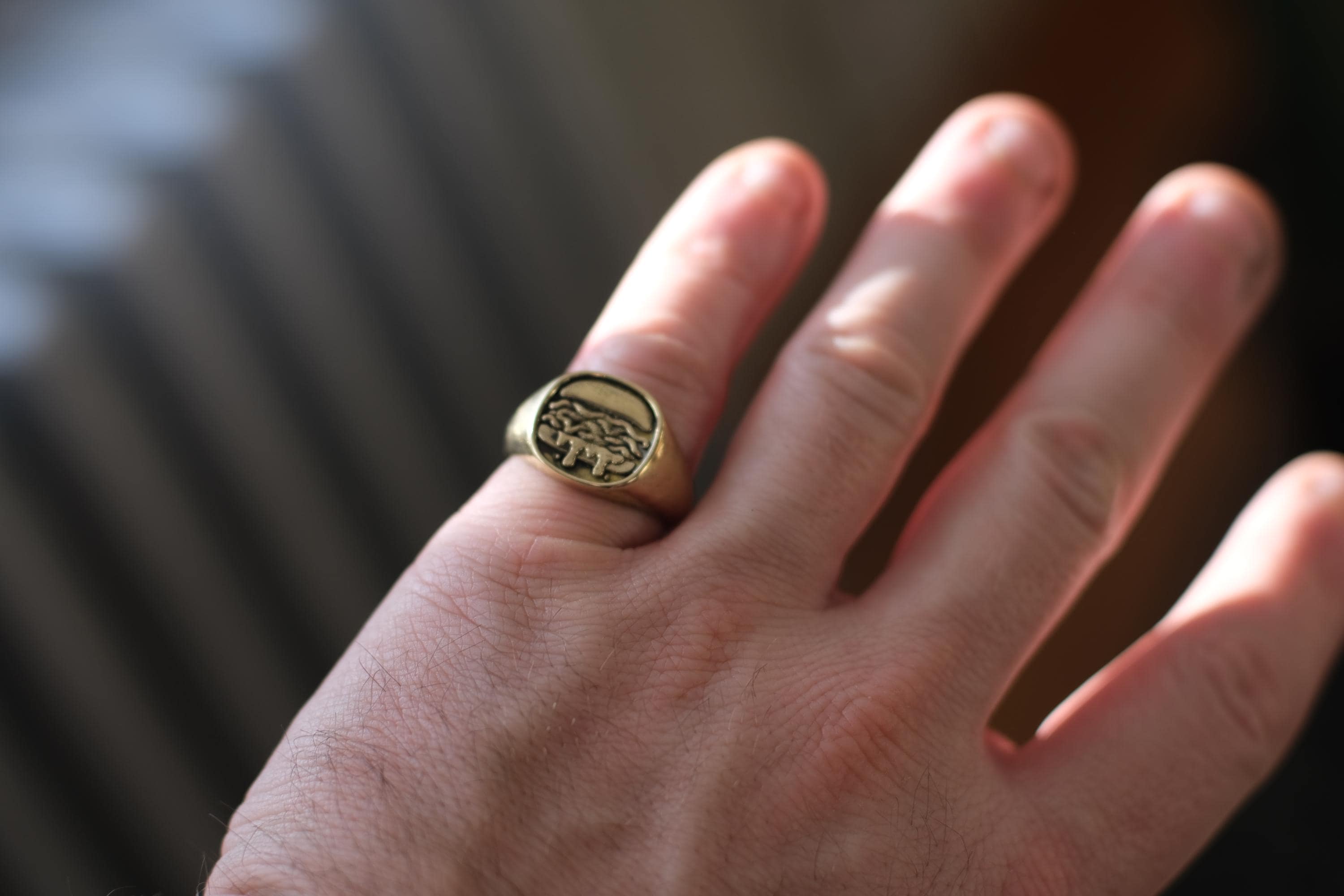 North Shore Roast Beef Signet Ring | Hand-Cast Solid Brass | 12g