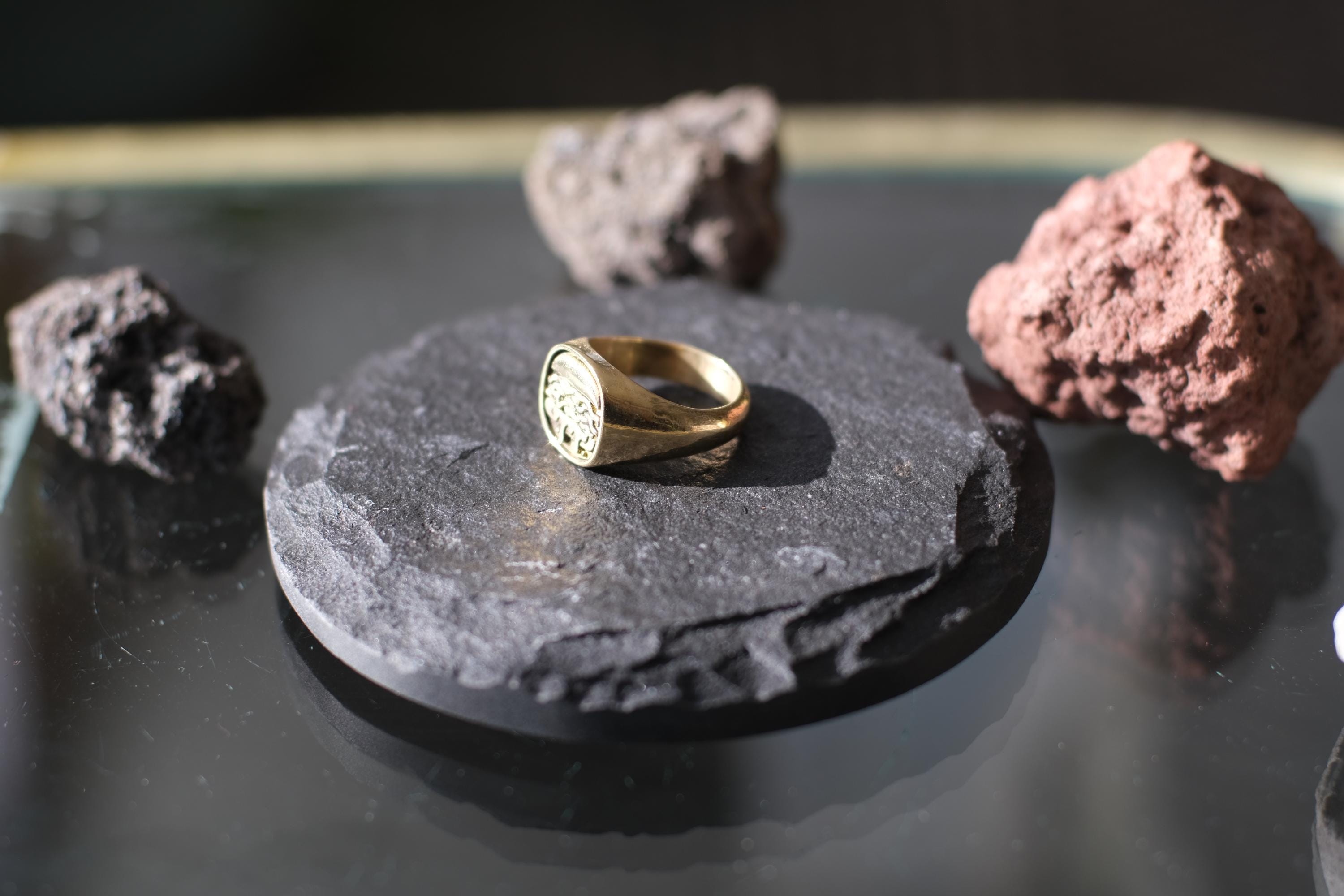 North Shore Roast Beef Signet Ring | Hand-Cast Solid Brass | 12g