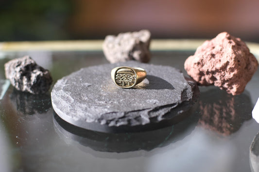 North Shore Roast Beef Signet Ring | Hand-Cast Solid Brass | 12g